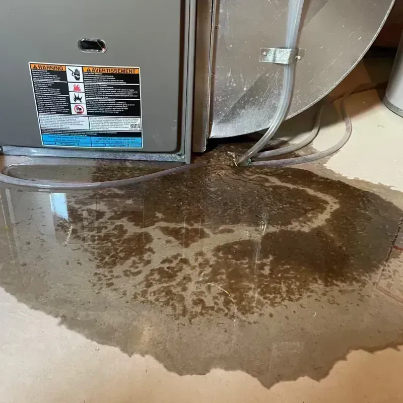 Appliance Leak Cleanup in Crawford County, AR